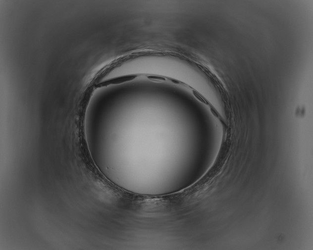 X0000091531304200708241702