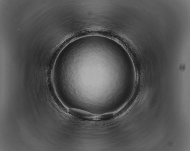 X0000091531305200708241702