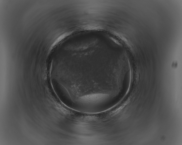 X0000091531306200708241702