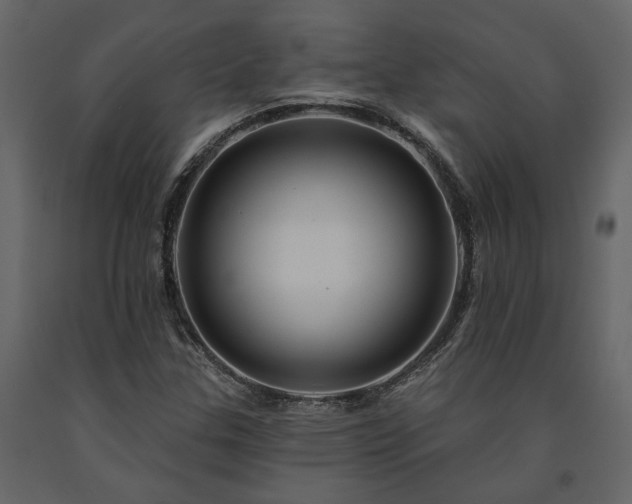 X0000091531307200708241702