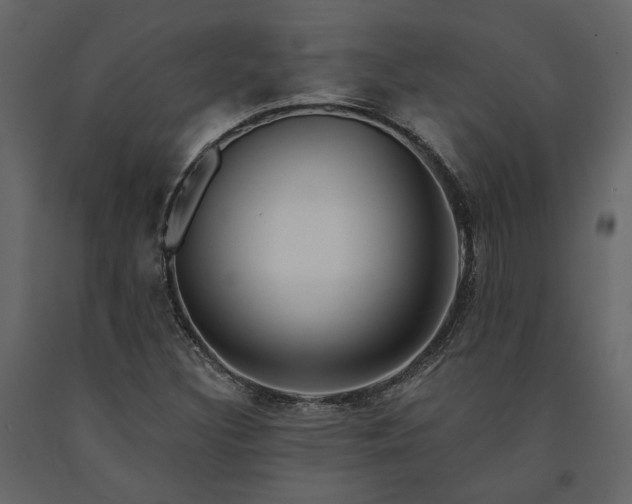 X0000091531308200708241702