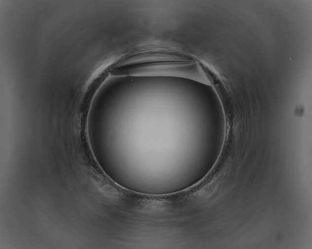 X0000091531309200708241703