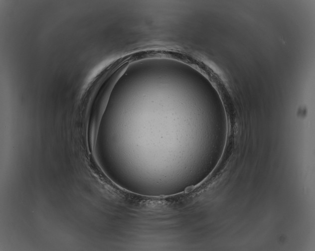 X0000091531310200708241703