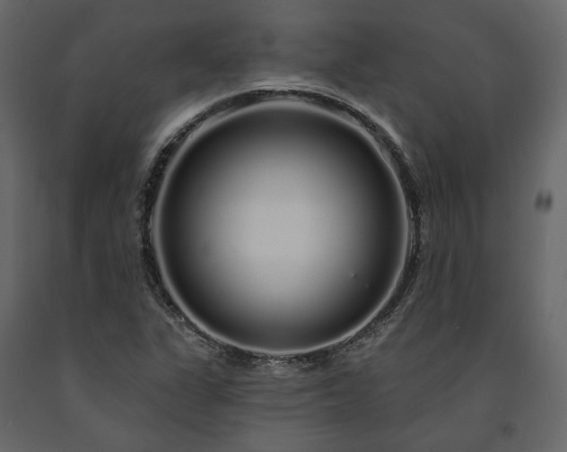 X0000091531311200708241703