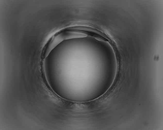 X0000091531312200708241703