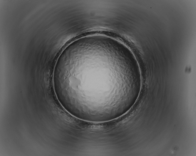 X0000091531313200708241703