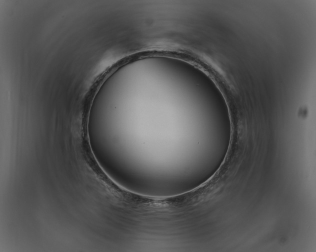 X0000091531315200708241703