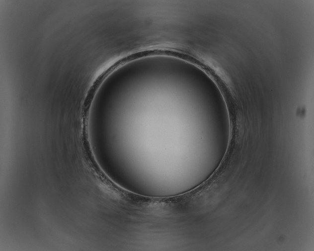 X0000091531316200708241703