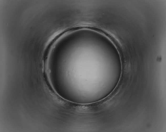 X0000091531317200708241703