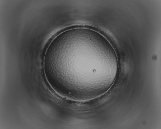 X0000091531318200708241703