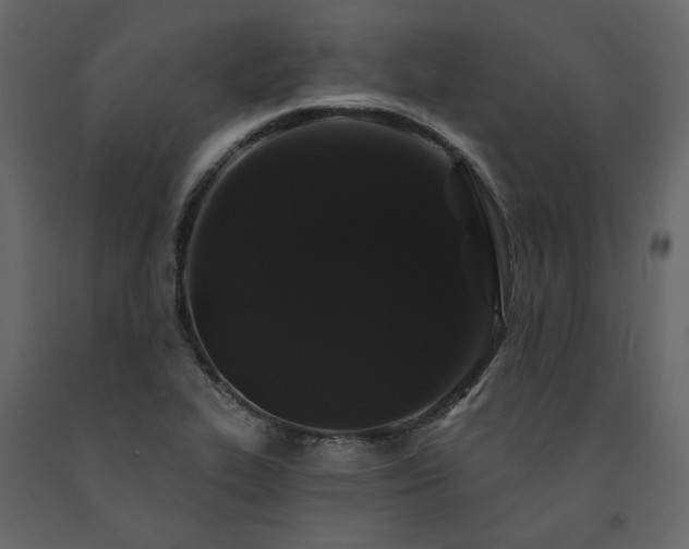 X0000091531319200708241703