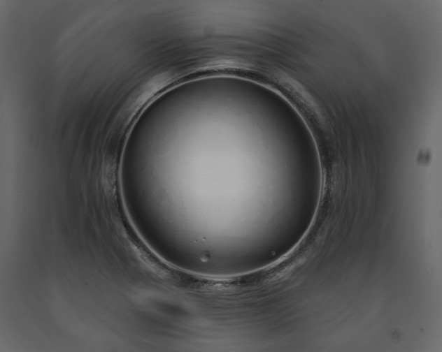 X0000091531321200708241703