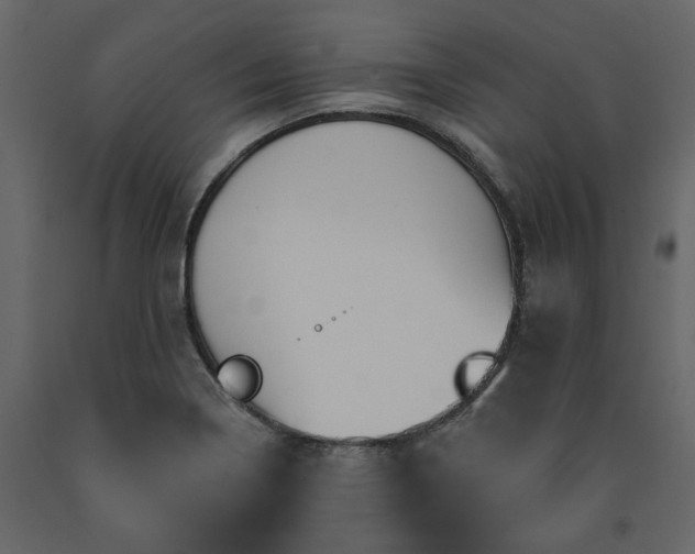 X0000091531322200708241703