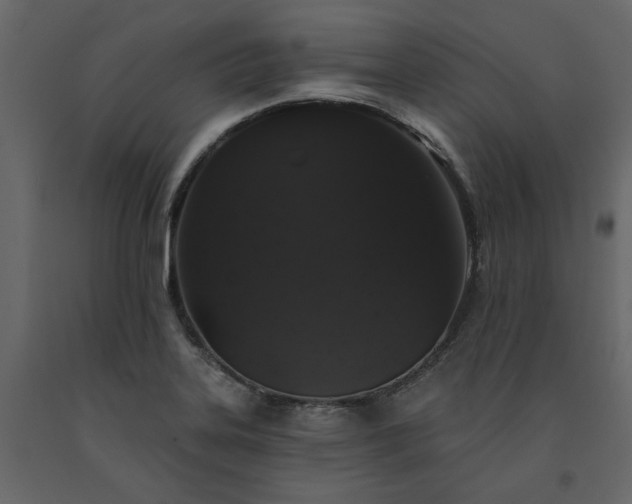 X0000091531323200708241703