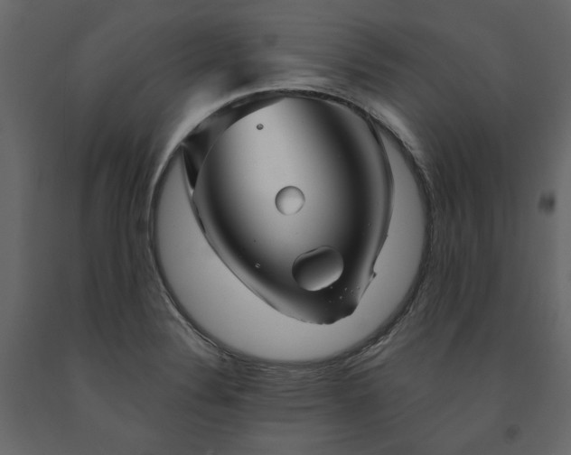 X0000091531324200708241703