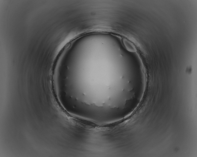 X0000091531325200708241703