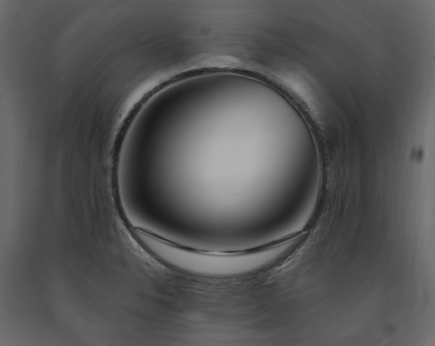 X0000091531326200708241703