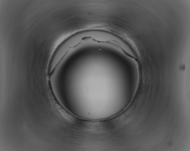 X0000091531328200708241703