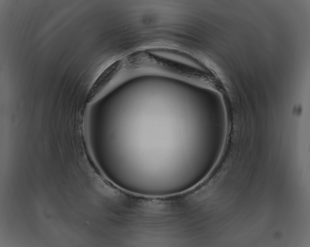 X0000091531329200708241703
