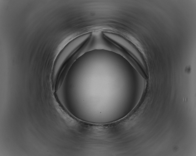 X0000091531330200708241703