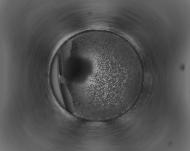 X0000091531331200708241703