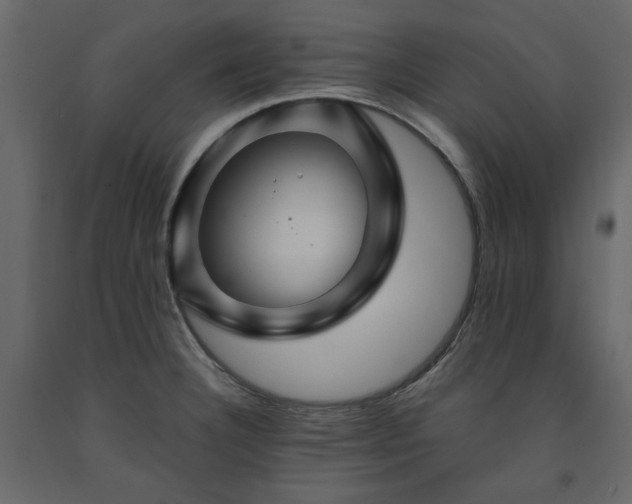 X0000091531332200708241703