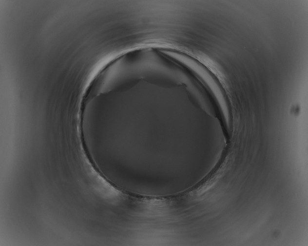 X0000091531334200708241703