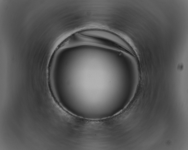 X0000091531335200708241703