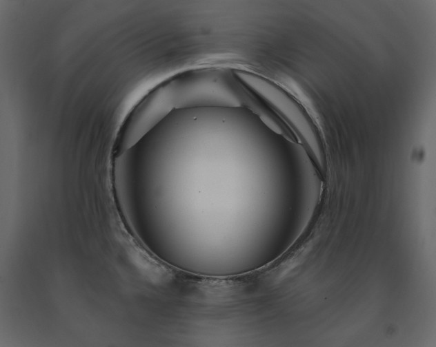 X0000091531336200708241703