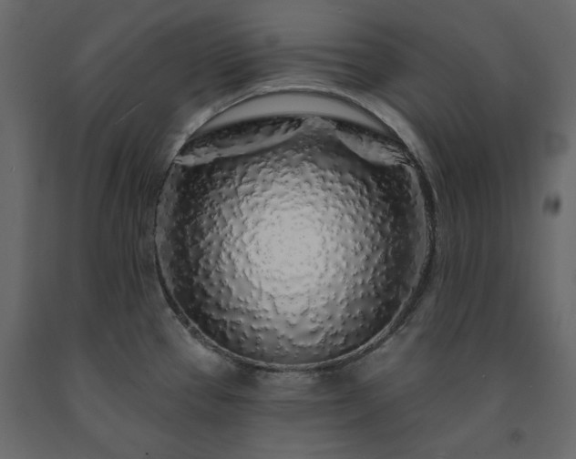 X0000091531337200708241703