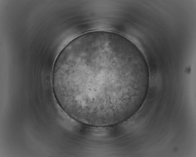 X0000091531338200708241703