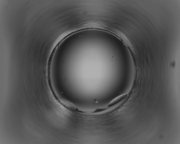 X0000091531339200708241703