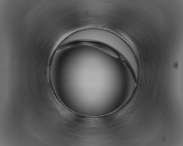 X0000091531340200708241703