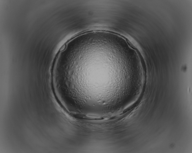 X0000091531341200708241703