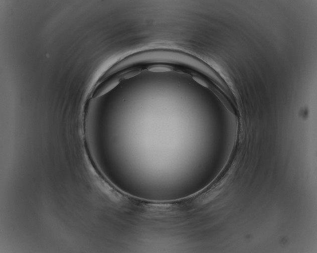 X0000091531342200708241703