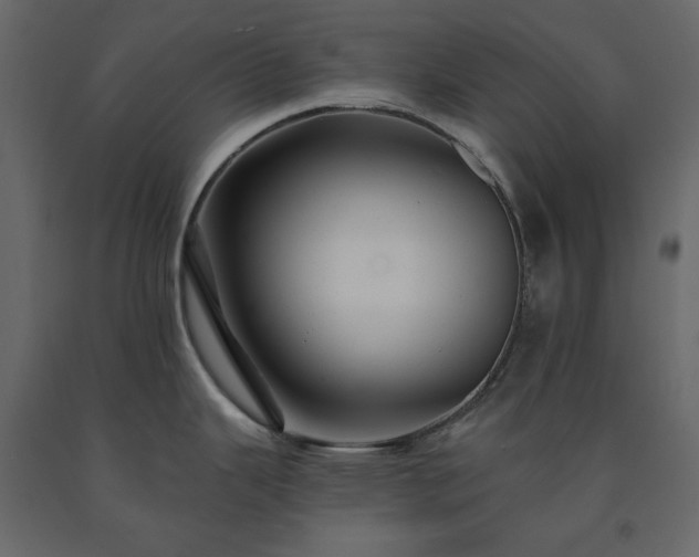 X0000091531343200708241703