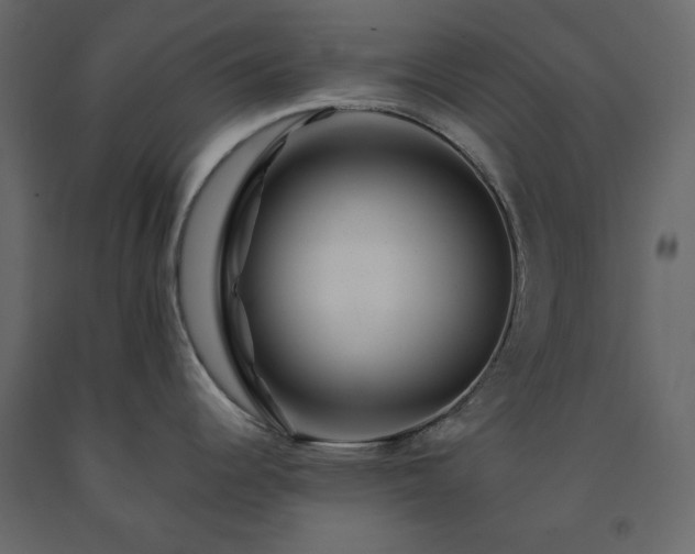 X0000091531344200708241703
