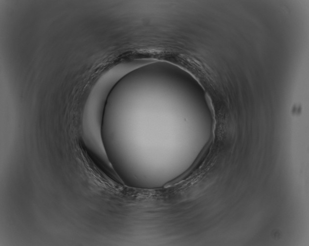 X0000091531345200708241702