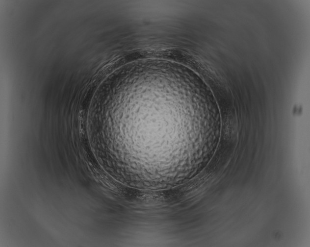 X0000091531346200708241702
