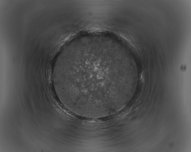 X0000091531348200708241702