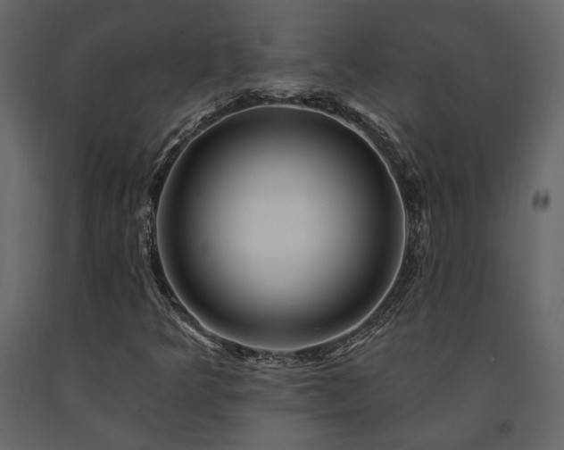 X0000091531349200708241702