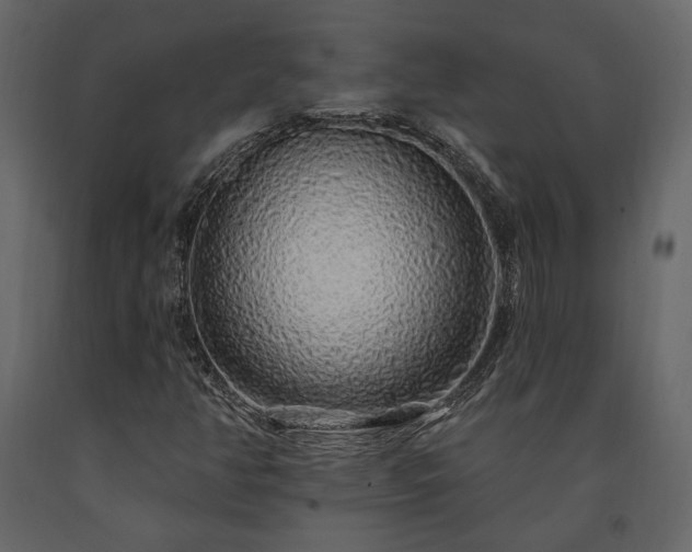 X0000091531350200708241702