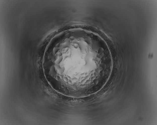 X0000091531351200708241702