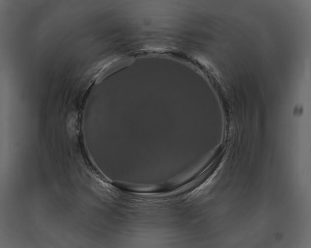 X0000091531353200708241702