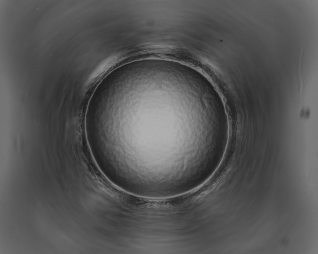 X0000091531354200708241702