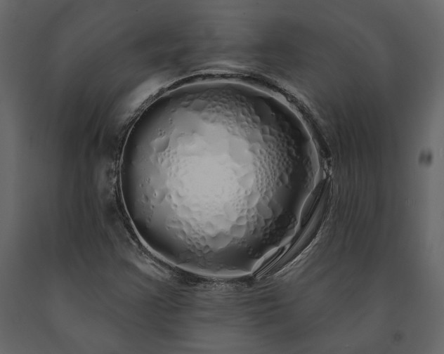 X0000091531355200708241702