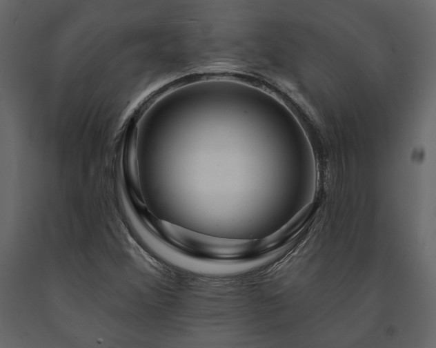X0000091531356200708241702