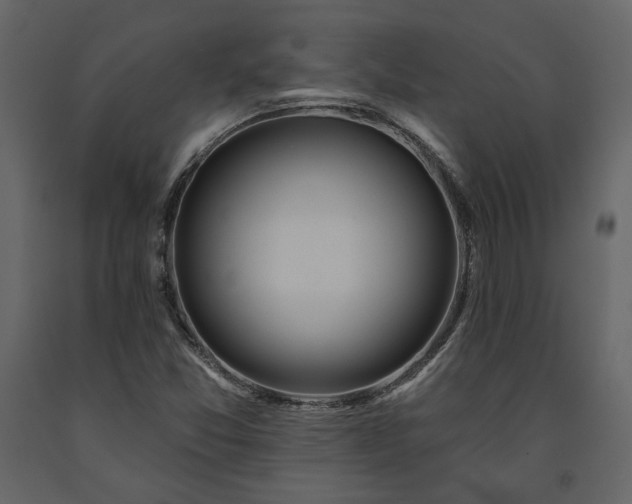 X0000091531357200708241702