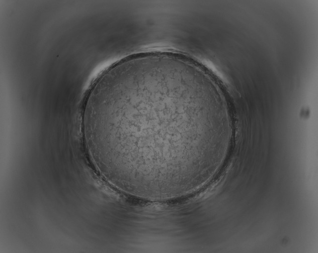 X0000091531358200708241702