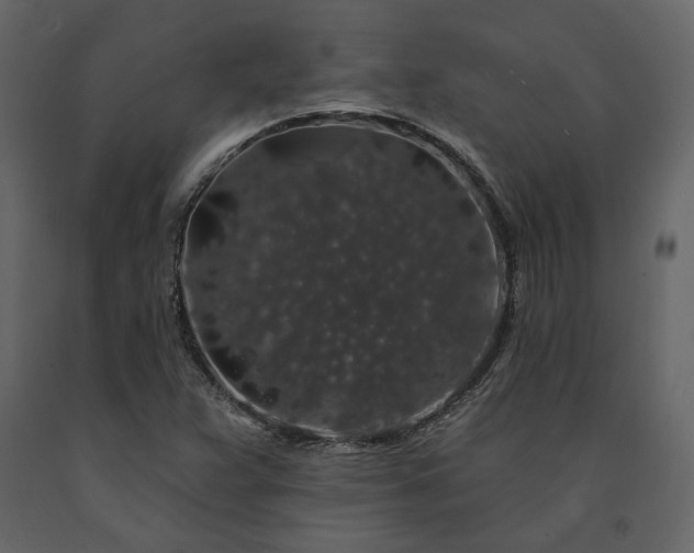 X0000091531359200708241702